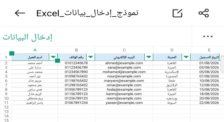 ادخال البيانات وتنظيم ملفات Excel بدقه واحترافية