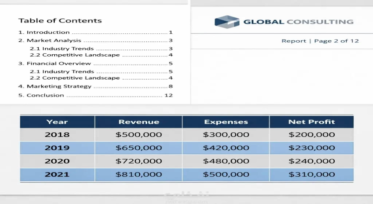 Professional Data Entry, Microsoft Word, Excel & PowerPoint Services